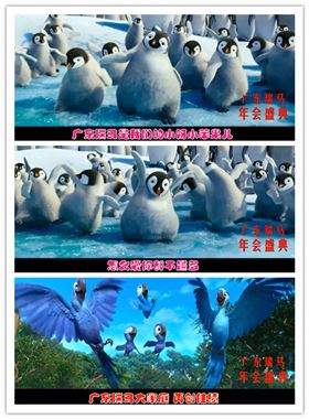 廣東瑞馬壁掛爐2014年度答謝盛典 &mdash;&mdash;萌萌噠&ldquo;小戰馬&rdquo;日記6