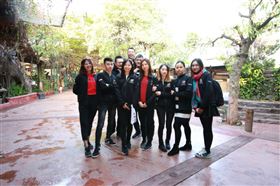 瑞馬壁掛爐：又經一年風雨，再創一路輝煌